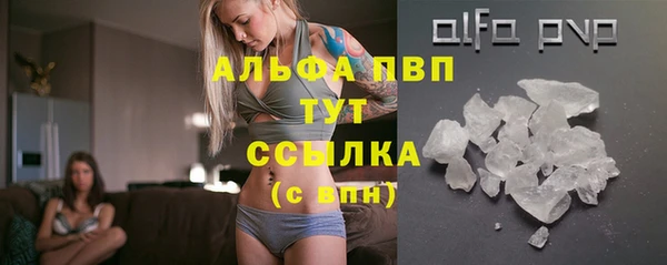 PSILOCYBIN Балабаново