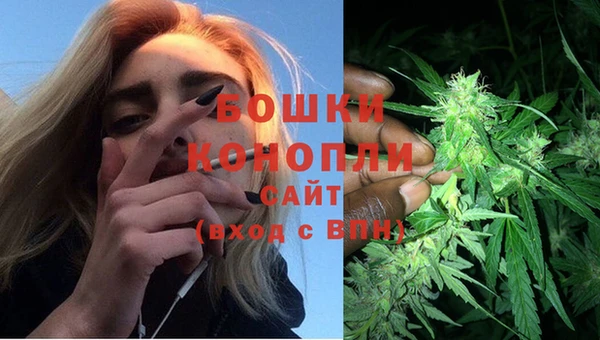 PSILOCYBIN Балабаново