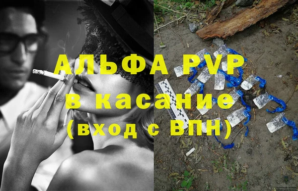 PSILOCYBIN Балабаново