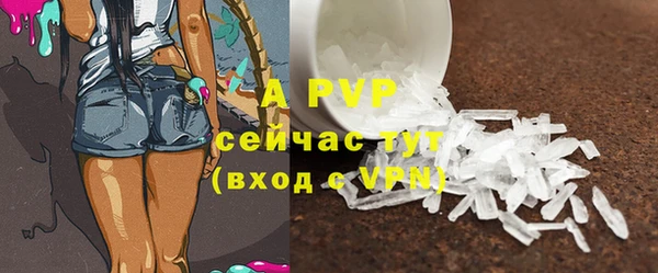 PSILOCYBIN Балабаново