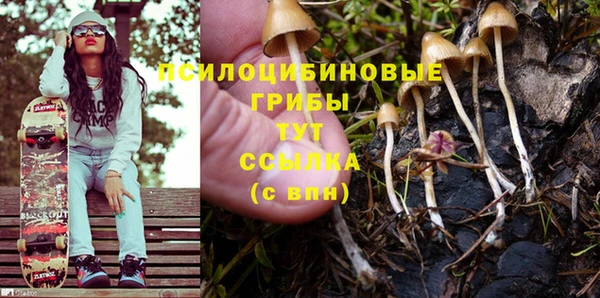 PSILOCYBIN Балабаново