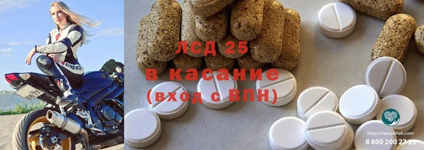 PSILOCYBIN Баксан