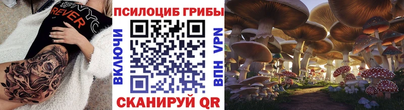 shop состав  Новое Девяткино  Псилоцибиновые грибы Psilocybine cubensis 